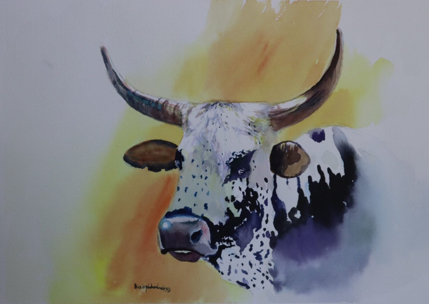 Cow (2)
