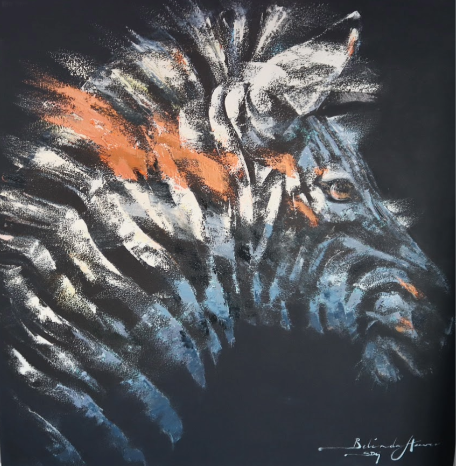 Zebra on Black
