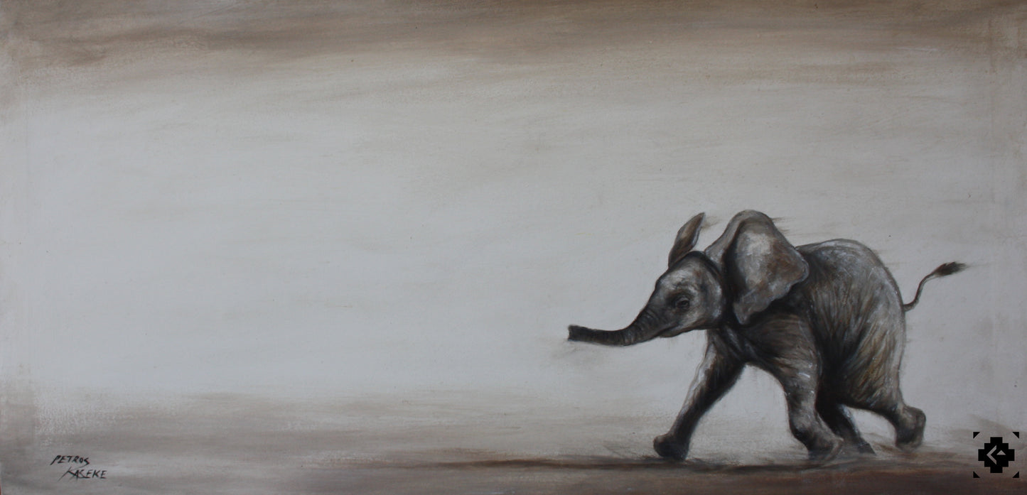 Baby elephant