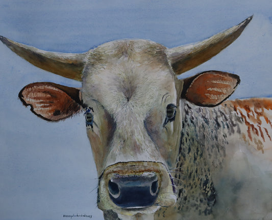 Cow