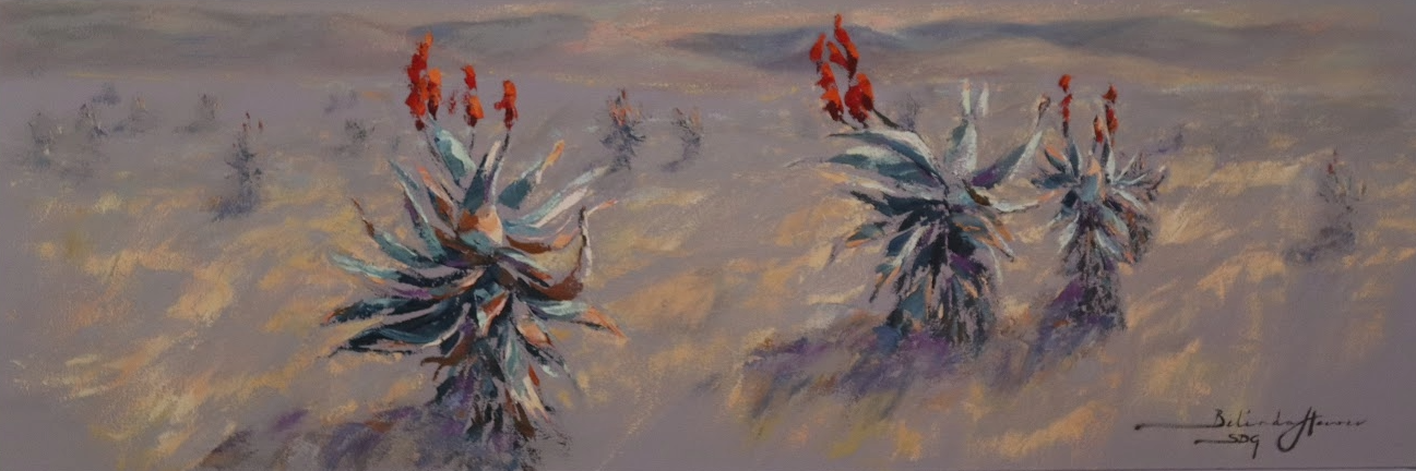 Aloes of Karoo