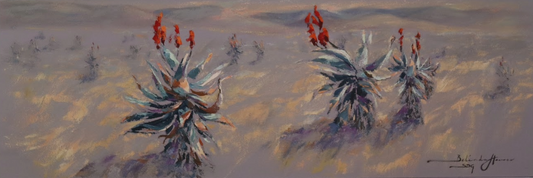 Aloes of Karoo