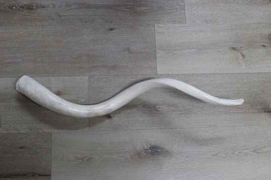 Kudu Horn