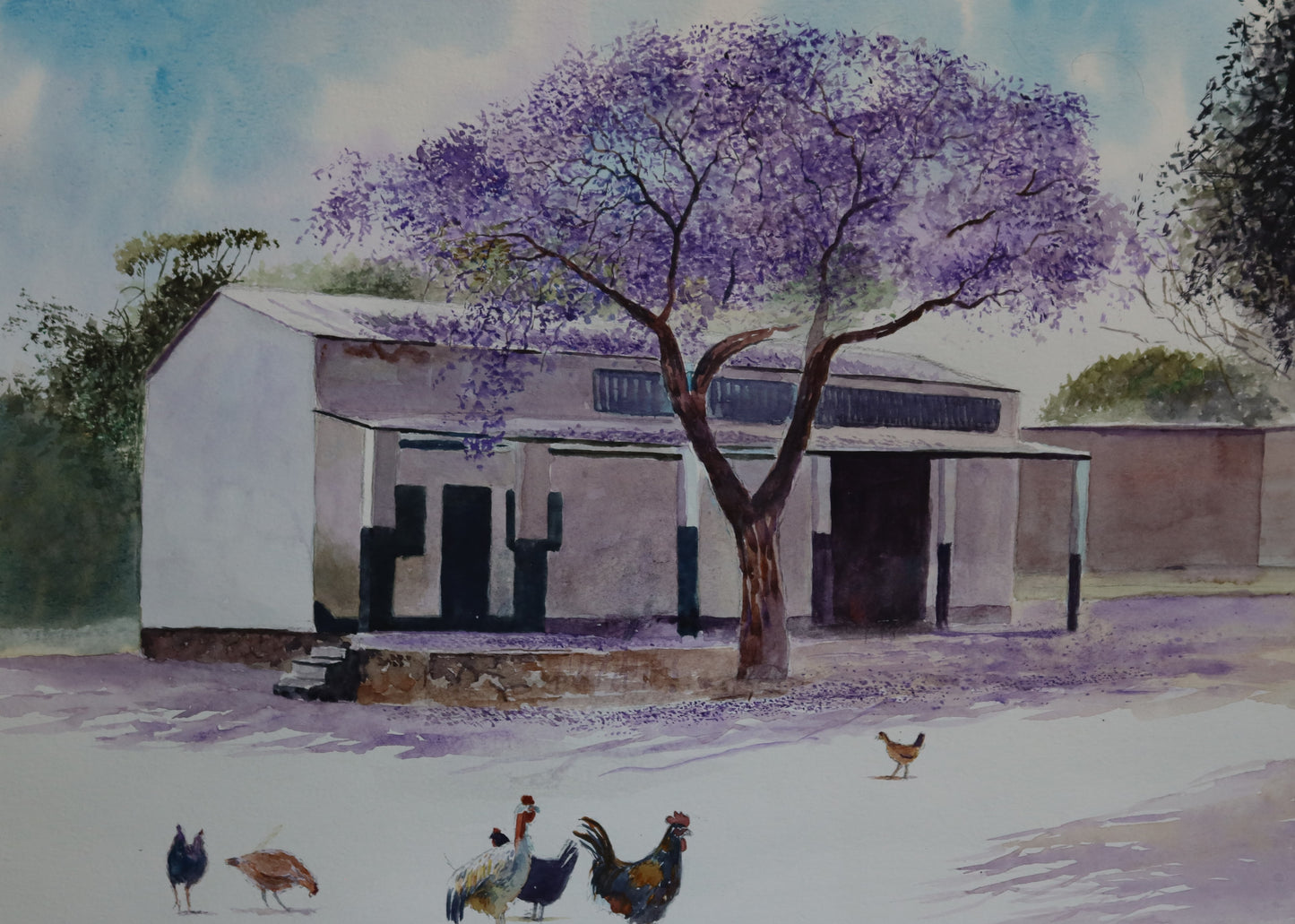 Jacaranda