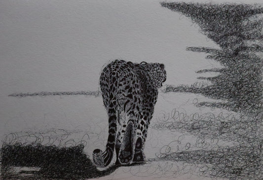 Leopard