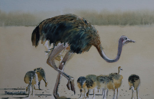 Ostrich with Chicks