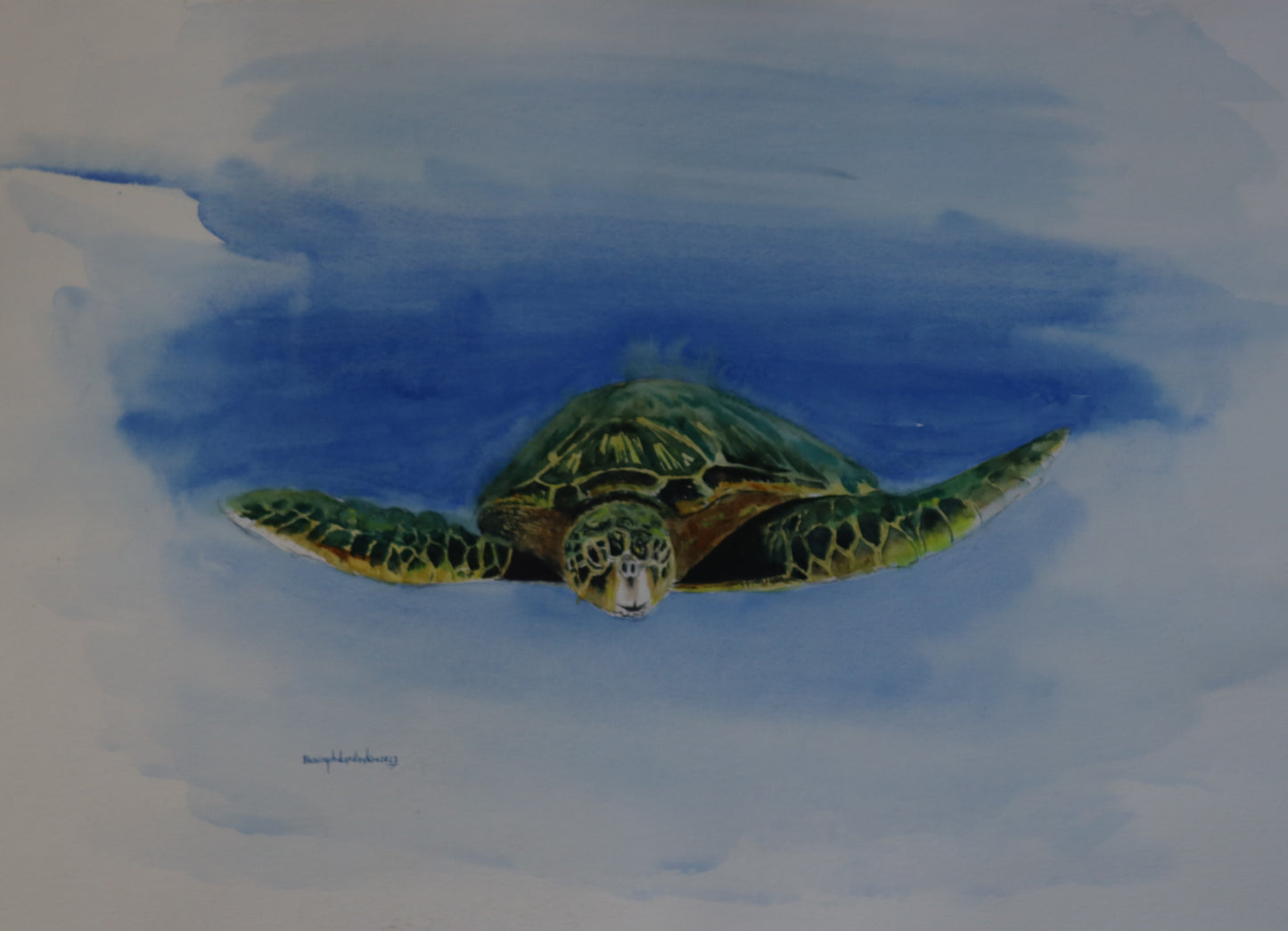 Tutle