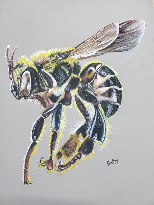 Bumble Bee