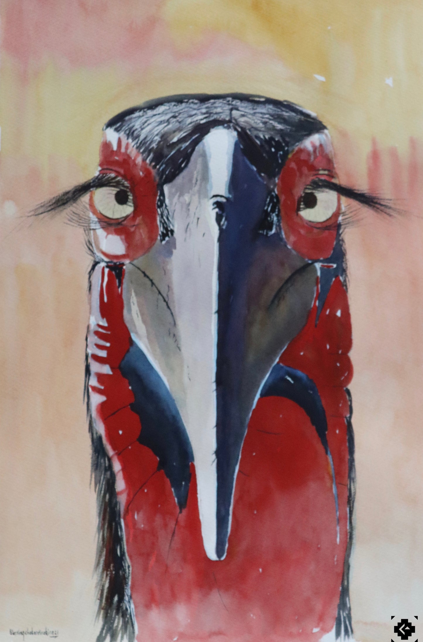 Hornbill