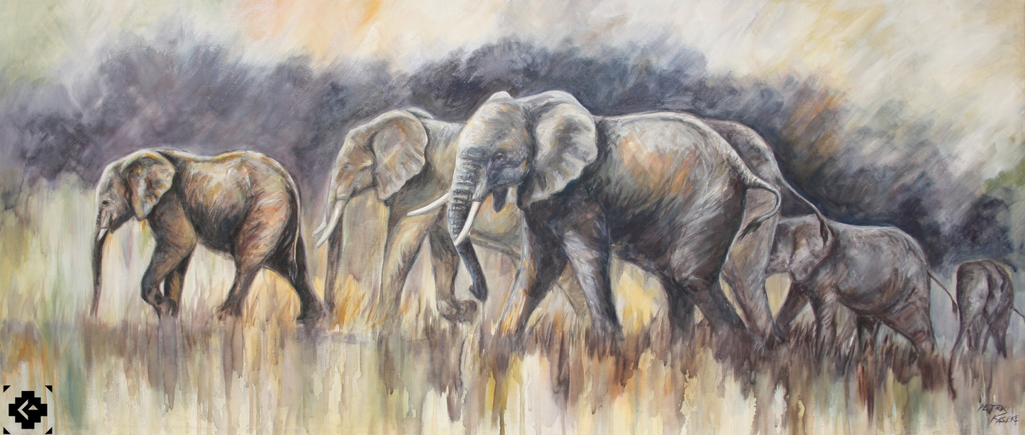 Elephant Herd