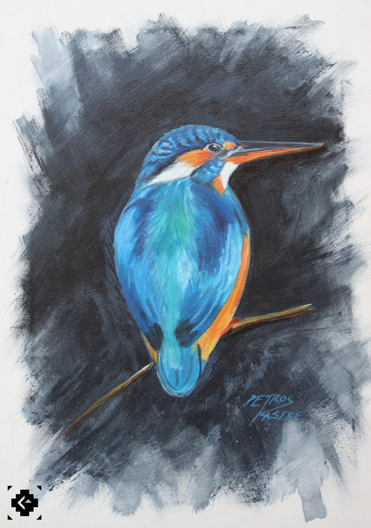 Kingfisher (3)