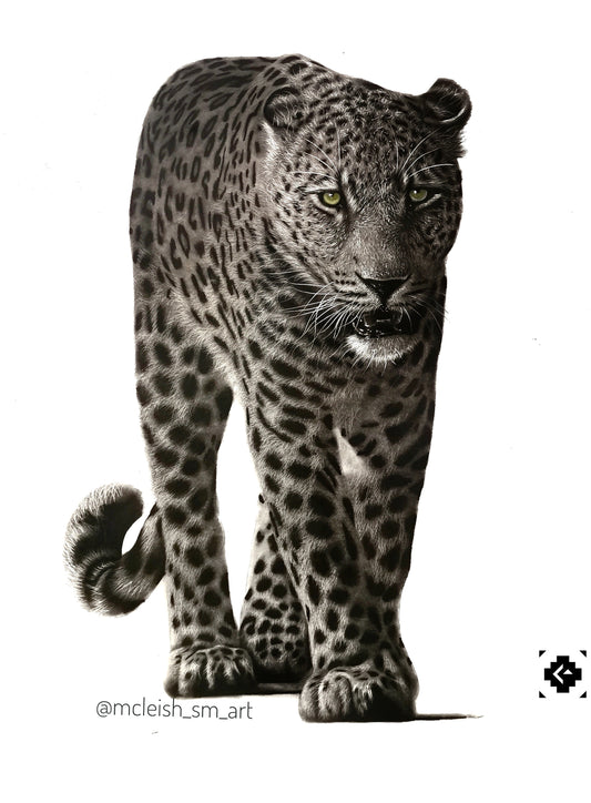 Leopard