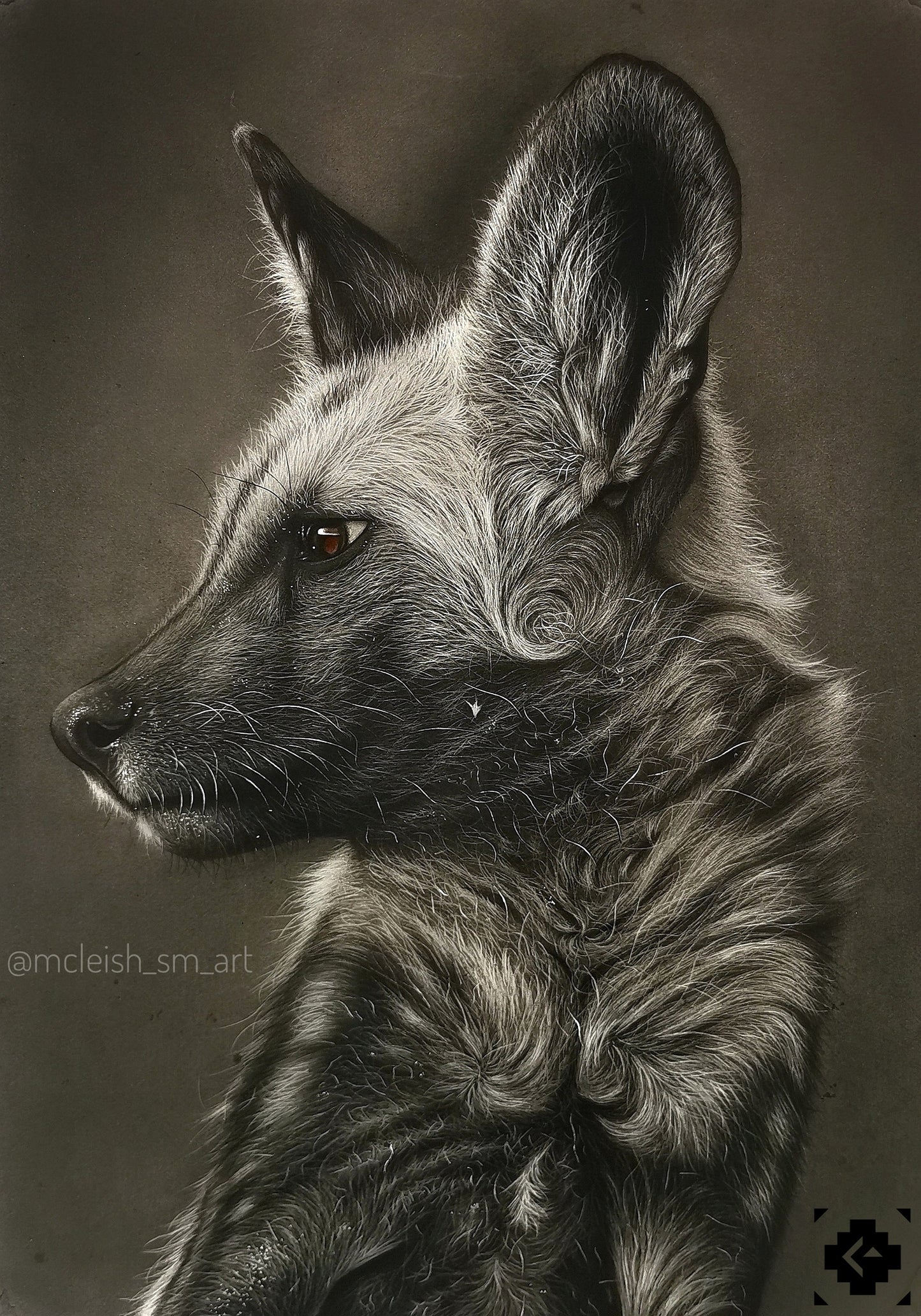 Wild dog