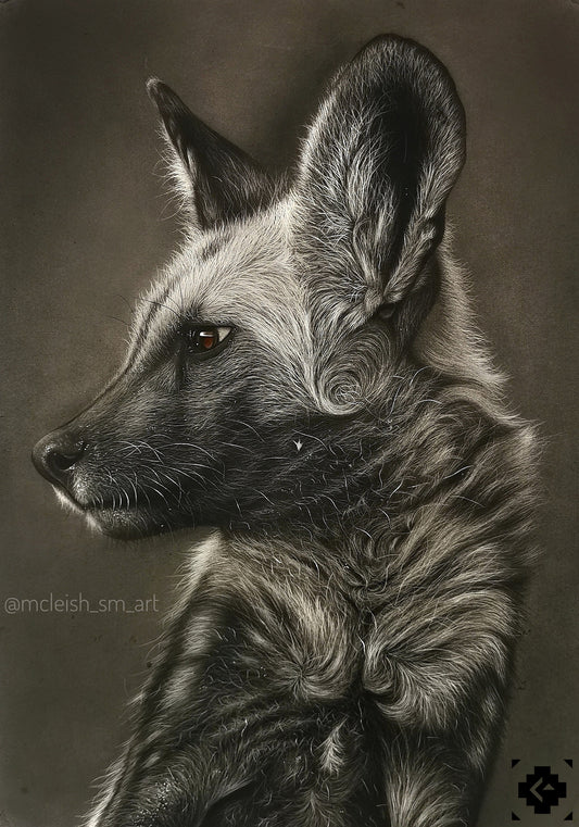 Wild dog
